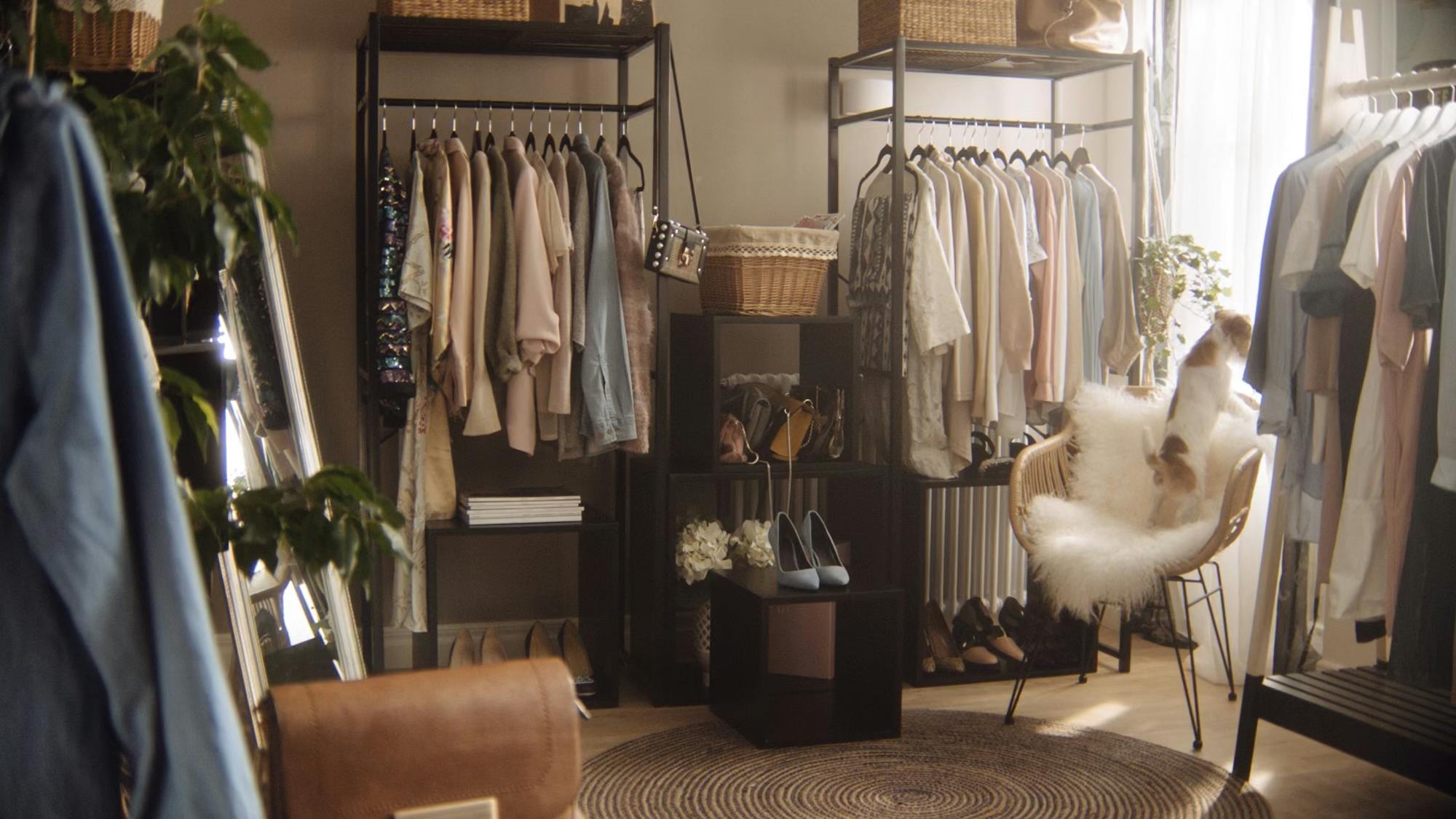 a dog sitting ona chair in a room full of clothes